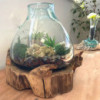 Grand aquarium en verre fondu - 32 cm