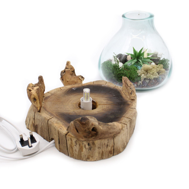 Grand aquarium en verre fondu - 32 cm