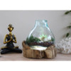 Grand aquarium en verre fondu - 32 cm