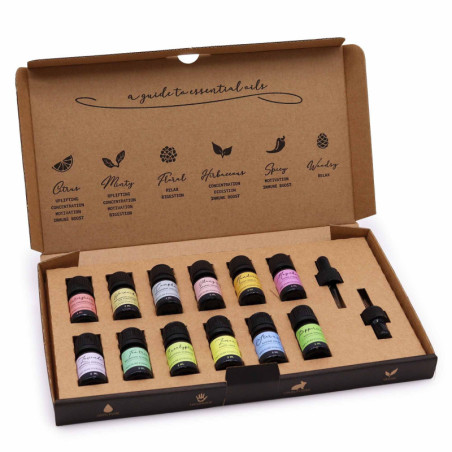 Coffret d'huiles essentielles d'aromathérapie - Pack de démarrage