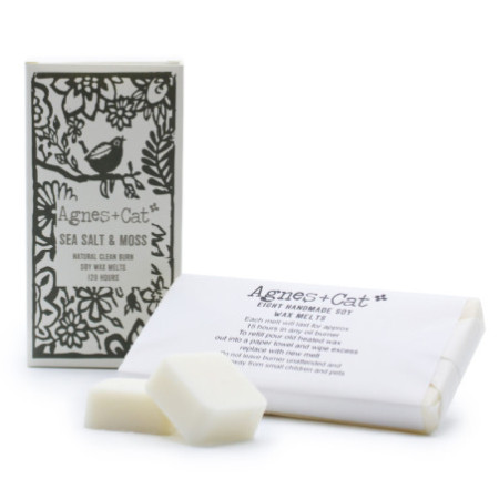 Coffret de 8 fondants de cire - Sel de mer + Mousse