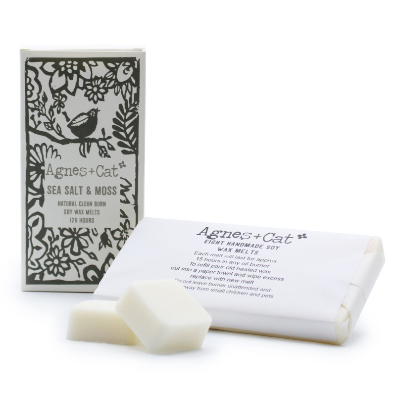 Coffret de 8 fondants de cire - Sel de mer + Mousse