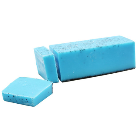 Pain de savon à l'aloe vera
