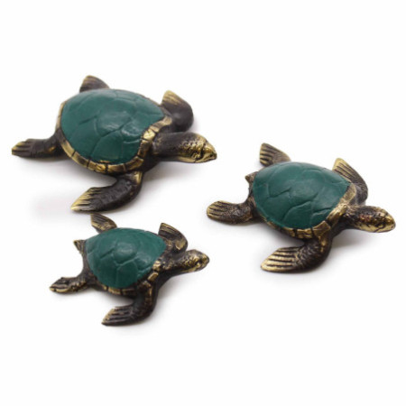 Tortues de mer - Lot de 3