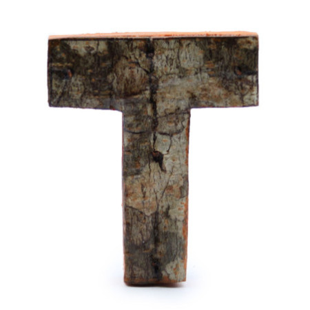 Lettre en écorce rustique - « T » - 7 cm
