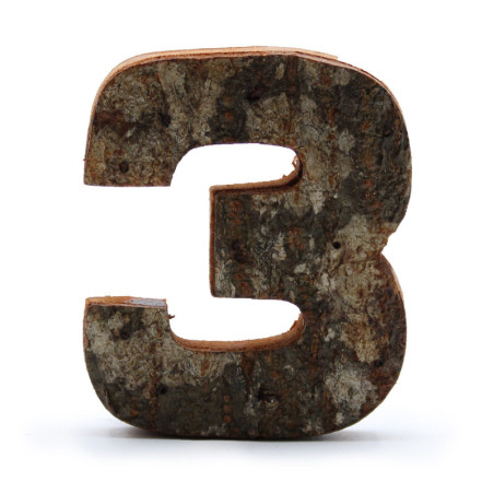 Numéro d'écorce rustique - "3" - 7 cm