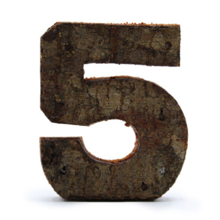 Numéro d'écorce rustique - "5" - 7 cm