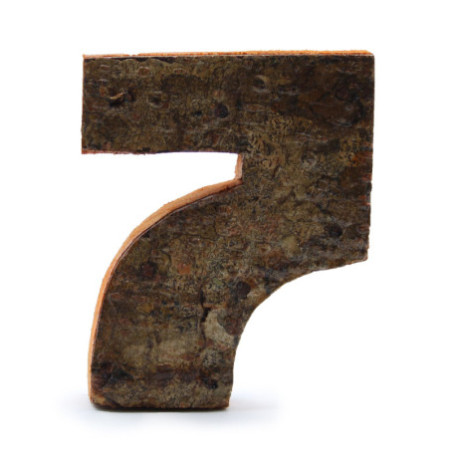 Numéro d'écorce rustique - "7" - 7 cm