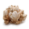 Spécimens minéraux - Calcite florale (environ 20 pièces)