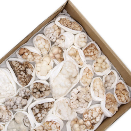 Spécimens minéraux - Calcite florale (environ 20 pièces)
