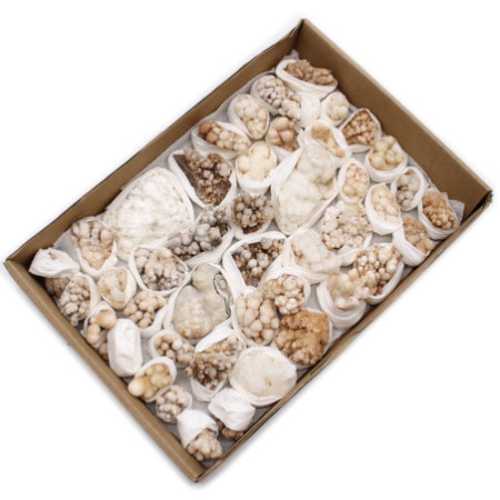 Spécimens minéraux - Calcite florale (environ 20 pièces)