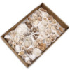 Spécimens minéraux - Calcite florale (environ 20 pièces)