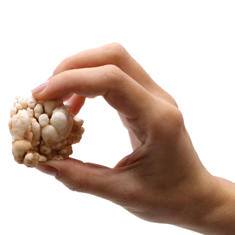Spécimens minéraux - Calcite florale (environ 20 pièces)