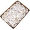 Spécimens minéraux - Calcite (environ 32 pièces)