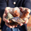 Spécimens minéraux - Chalcopyrite (environ 80 pièces)