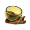 Mini bol en verre Molton ambré sur bois