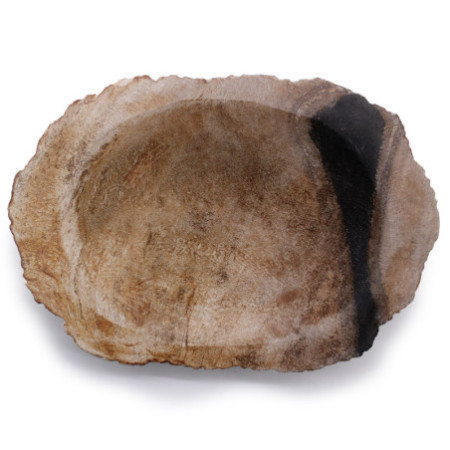Porte-savon noir en bois pétrifié