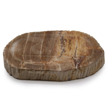 Porte-savon marron en bois pétrifié