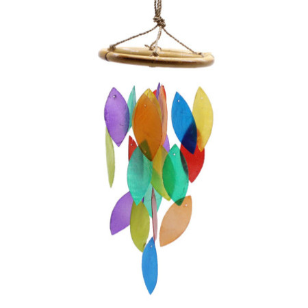 Feuille arc-en-ciel et goutte de bambou