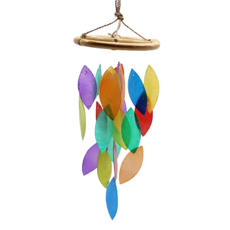 Feuille arc-en-ciel et goutte de bambou