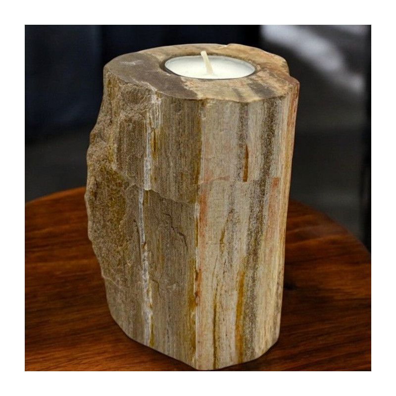 Bougeoir en bois pétrifié - Simple grand