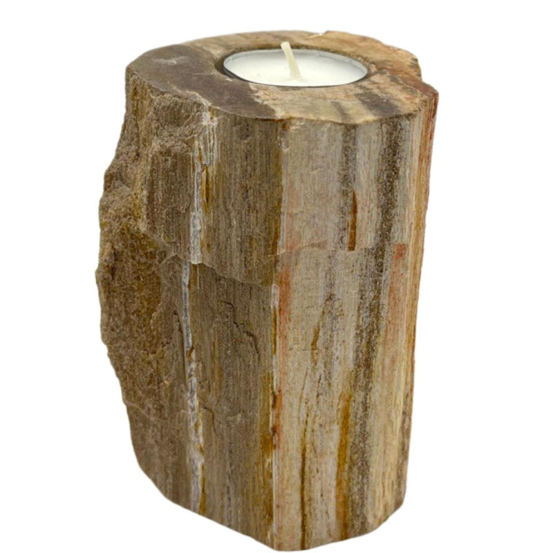 Bougeoir en bois pétrifié - Simple grand