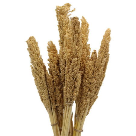 Bouquet d'herbe du Cantal - Naturel