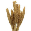 Bouquet d'herbe du Cantal - Naturel