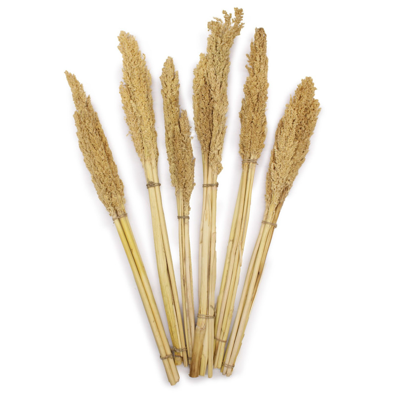 Bouquet d'herbe du Cantal - Naturel