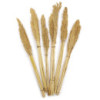 Bouquet d'herbe du Cantal - Naturel