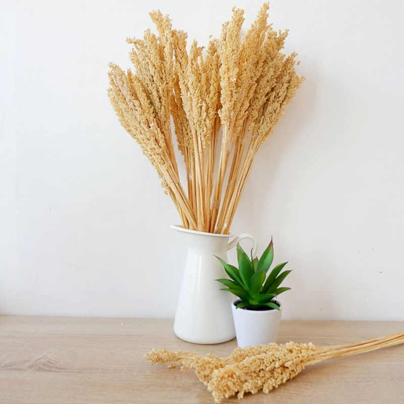 Bouquet d'herbe du Cantal - Naturel