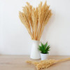 Bouquet d'herbe du Cantal - Naturel