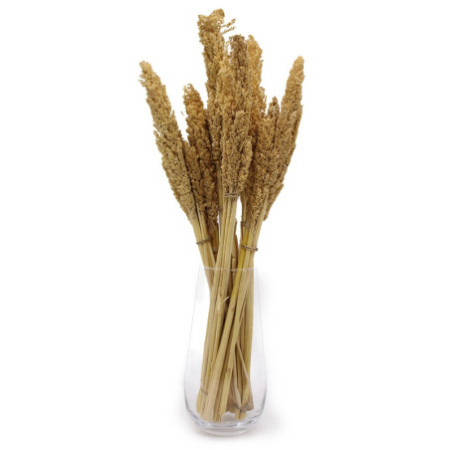Bouquet d'herbe du Cantal - Naturel