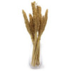 Bouquet d'herbe du Cantal - Naturel
