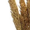Bouquet d'herbe du Cantal - Naturel