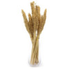 Bouquet d'herbe du Cantal - Naturel