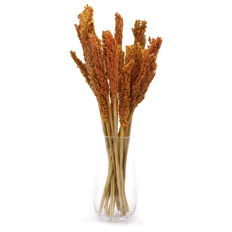 Bouquet d'herbe du Cantal - Orange