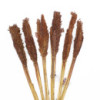 Bouquet d'herbe du Cantal - Chocolat