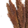 Bouquet d'herbe du Cantal - Chocolat
