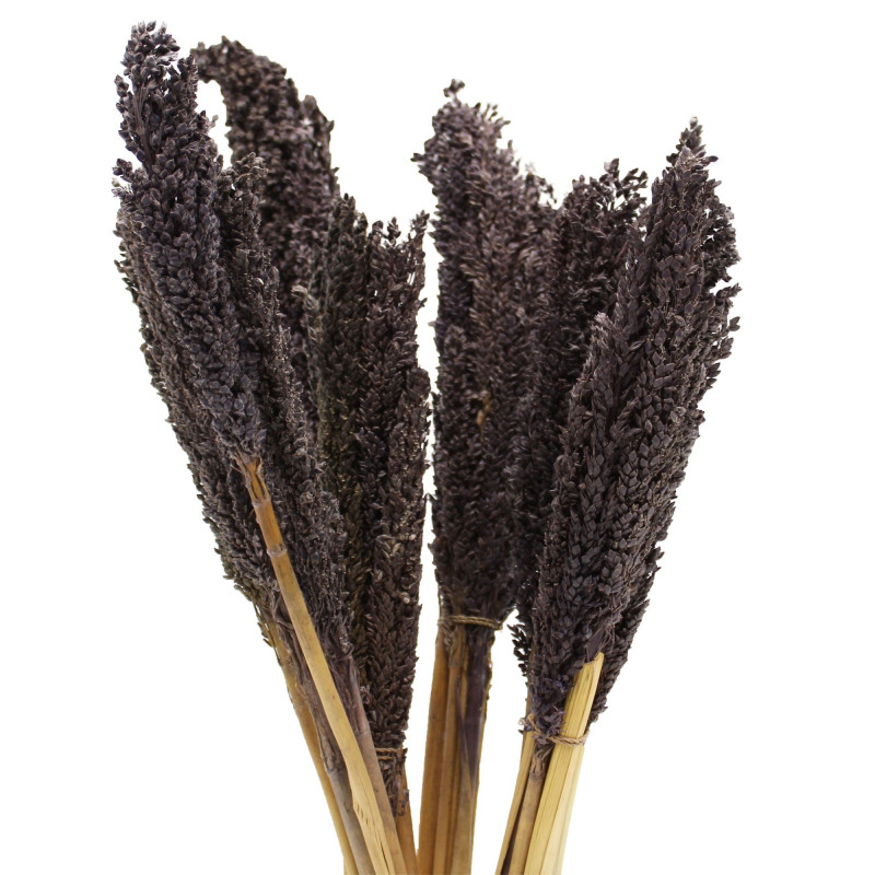 Bouquet d'herbe du Cantal - Noir