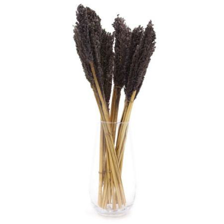 Bouquet d'herbe du Cantal - Noir