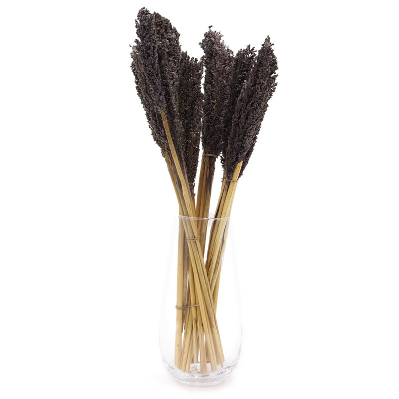 Bouquet d'herbe du Cantal - Noir