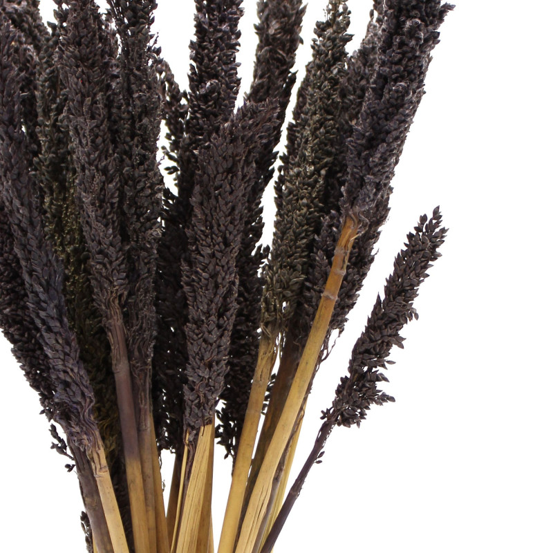 Bouquet d'herbe du Cantal - Noir