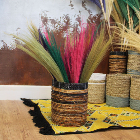 Set 4 - Balai long de la pampa - Couleurs vives
