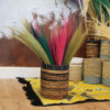 Set 4 - Balai long de la pampa - Couleurs vives