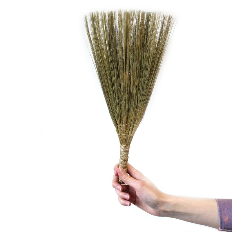 Ensemble 4 - Balai éventail Pampas - Tailles mixtes naturelles