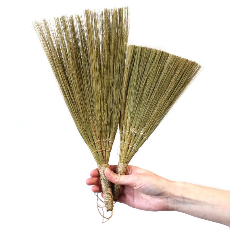 Ensemble 4 - Balai éventail Pampas - Tailles mixtes naturelles