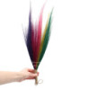 Set 4 - Balai de la pampa - Couleurs arc-en-ciel