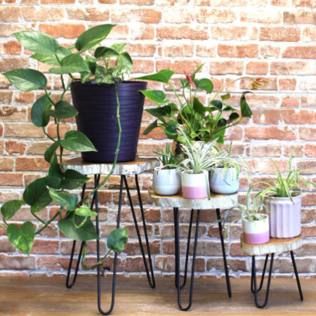 Lot de 3 supports à plantes en bois Gamell - Blanchi à la chaux