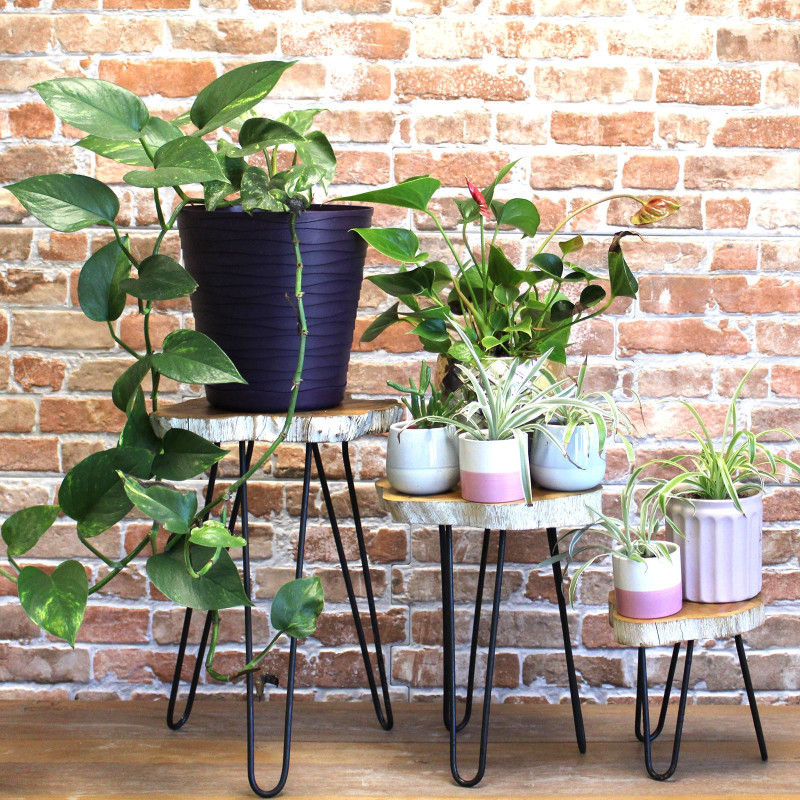Lot de 3 supports à plantes en bois Gamell - Blanchi à la chaux